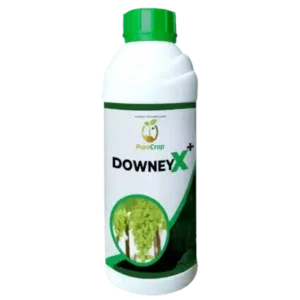 DowneyX Plus | Organic Crop Protection Solution - DowneyX Plus for Healthy Plants