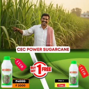 Cec Power Sug 1 Ltr Buy 1 Get 1 Free | Offer Price ₹2000/- Only