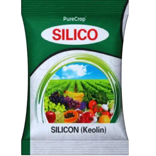 Silico (Keolin ) I Comprehensive Solution for Enhanced Crop Growth and Protection